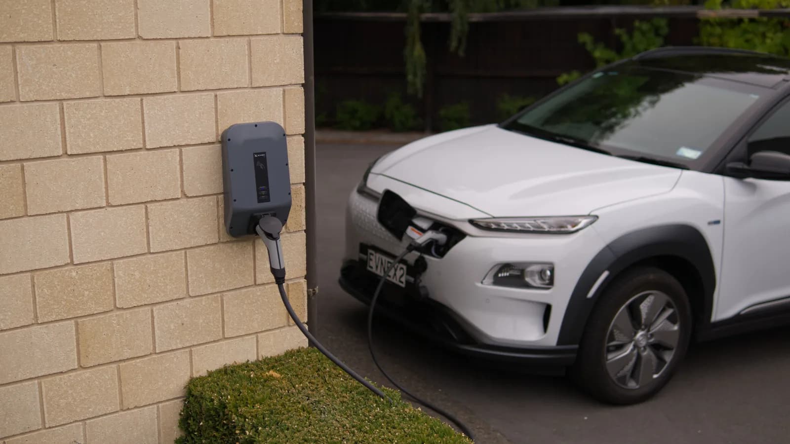 A white electric hatchback plugged into a wall charger on a suburban driveway