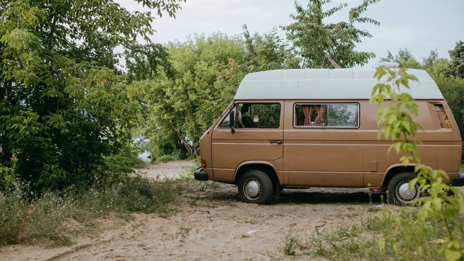 A brown camper van parked on a sandy track beside scrubby trees, seen side on
