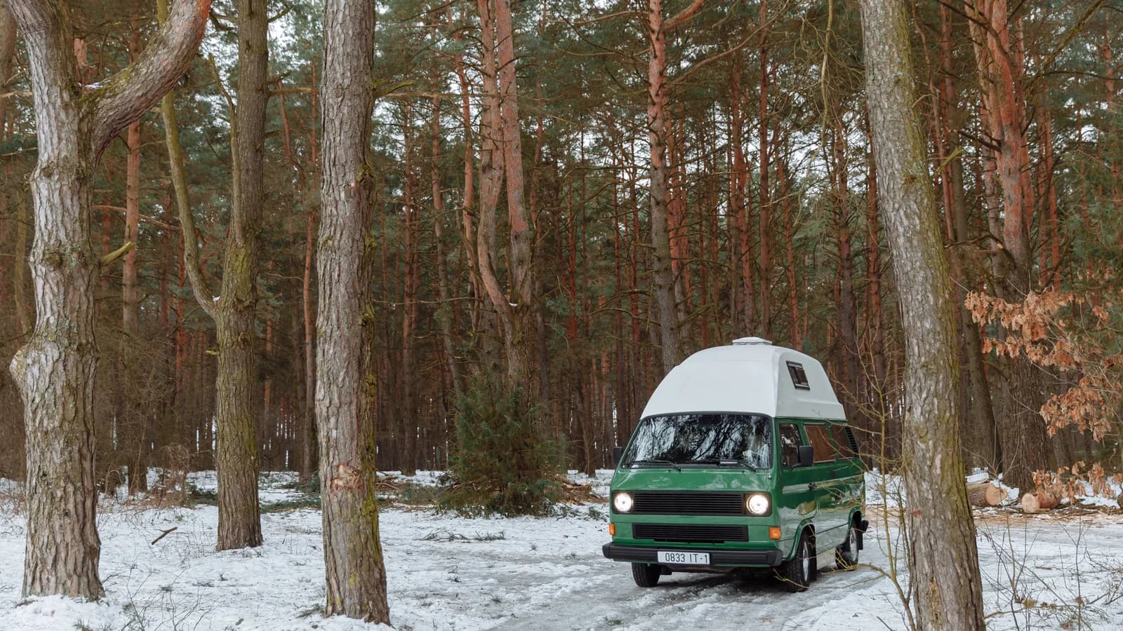 A green camper van with a white pop-top roof parked among snow-covered forest trees