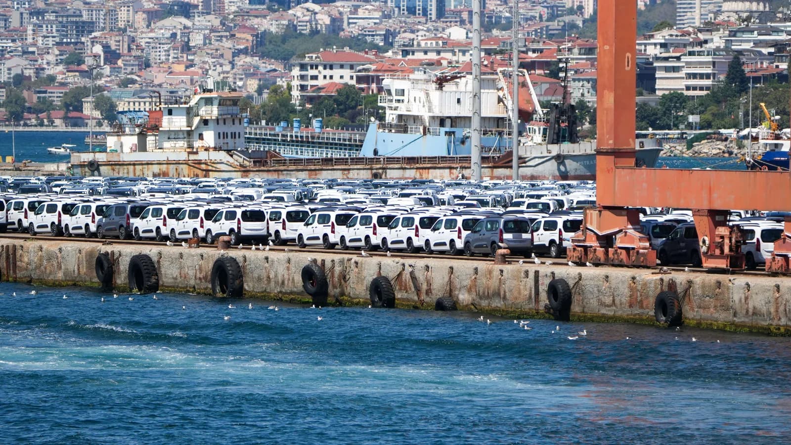 Rows of white vans waiting dockside at a port with a city skyline behind