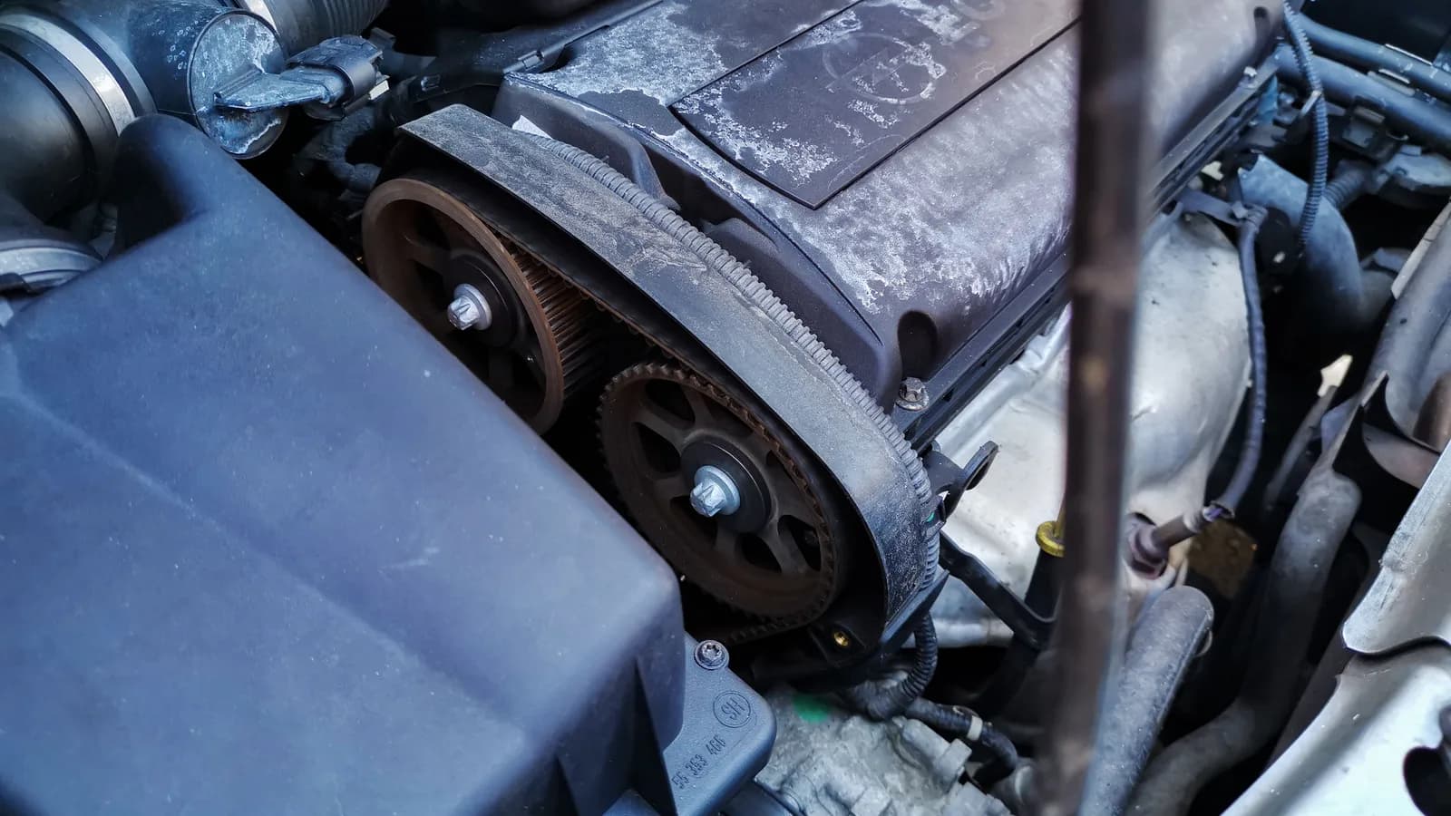 Close view of a timing belt running over its pulleys inside an engine bay